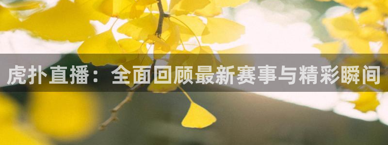 熊猫怎么直播：虎扑直播：全面回顾最新赛事与精彩瞬间