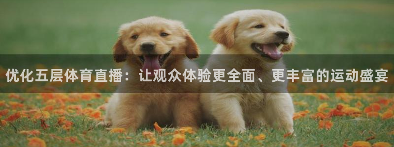 熊猫的歌曲：优化五层体育直播：让观众体验更全面、更丰富的运动盛宴