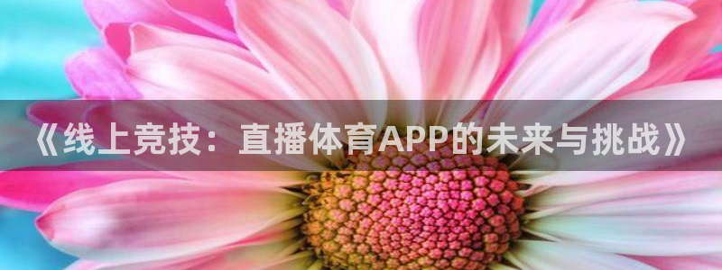 熊猫健身：《线上竞技：直播体育APP的未来与挑战》