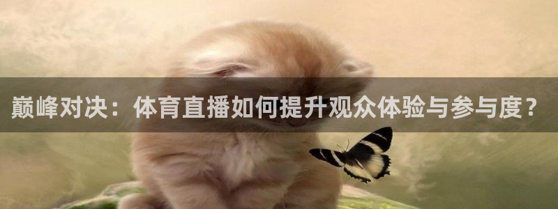 熊猫视频 直播：巅峰对决：体育直播如何提升观众体验与参与度？