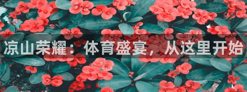 关于熊猫的：凉山荣耀：体育盛宴，从这里开始