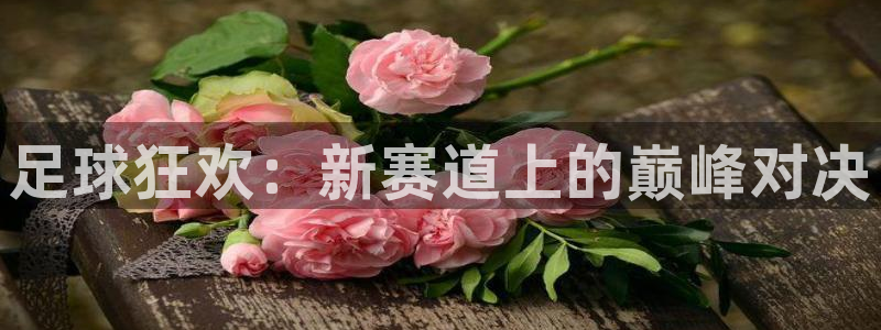 熊猫主播：足球狂欢：新赛道上的巅峰对决