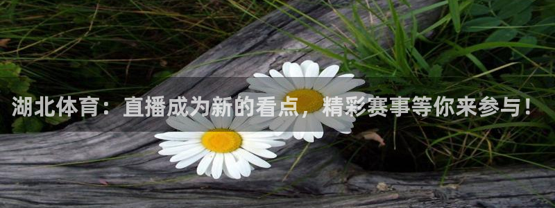 下载熊猫体育直播：湖北体育：直播成为新的看点，精彩赛事等你来参与！