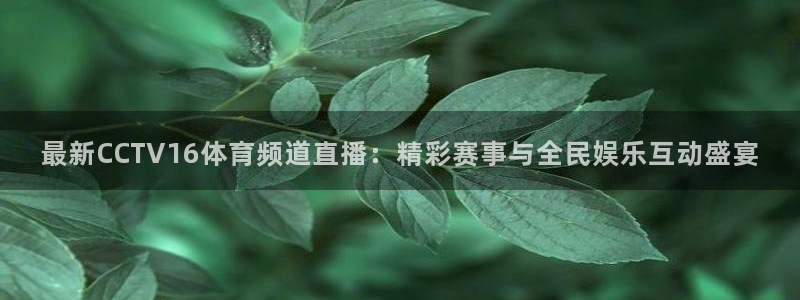 熊猫直播app下载：最新CCTV16体育频道直播：精彩赛事与全民娱乐互动盛宴